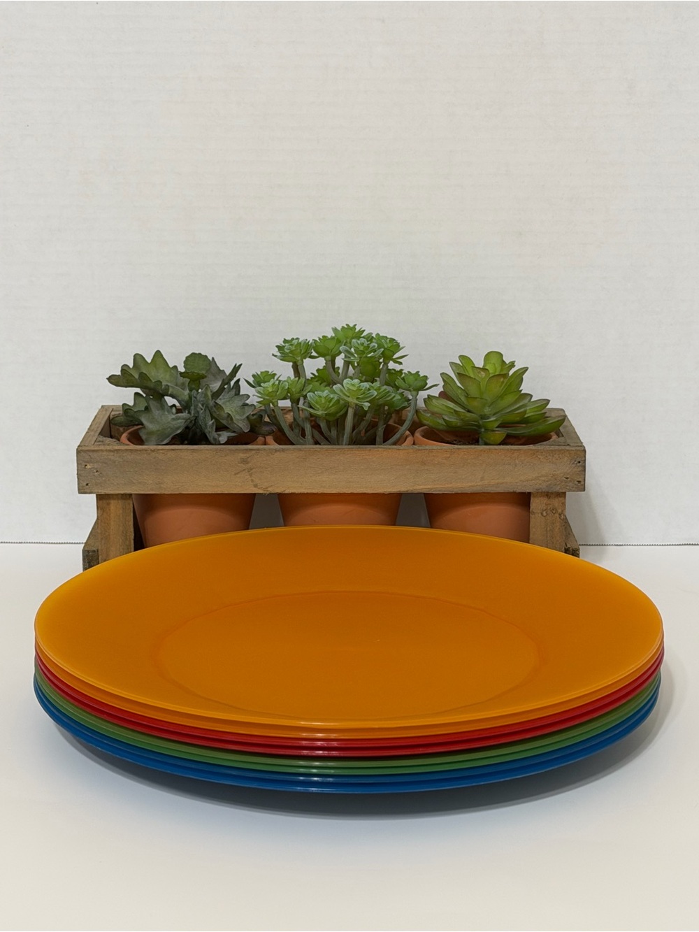 Set/8 Molded Plastic Matte Finish Outdoor Reusable Dinnerware 10” Plates
